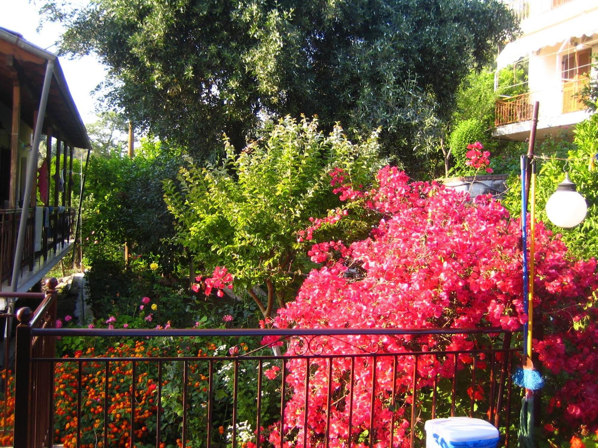 Apart Otel Holidays 3*